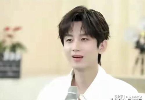 娱乐圈爆料成毅,娱乐圈爆料背后的真实人生  第1张